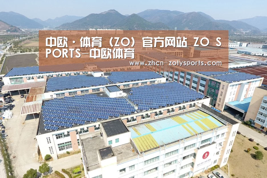 案例展示二