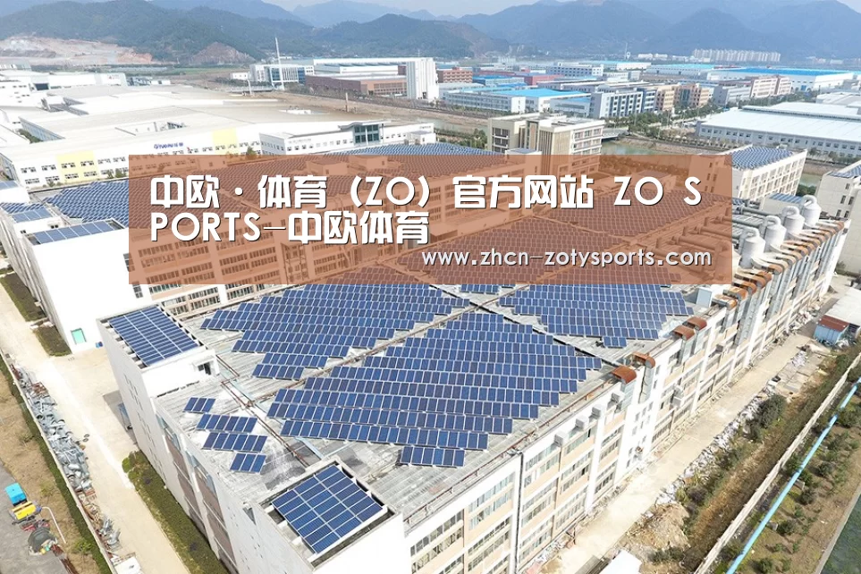 案例展示一