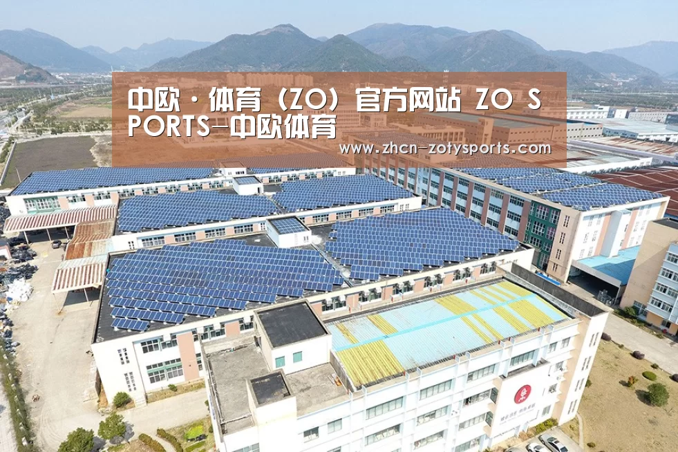 案例展示一
