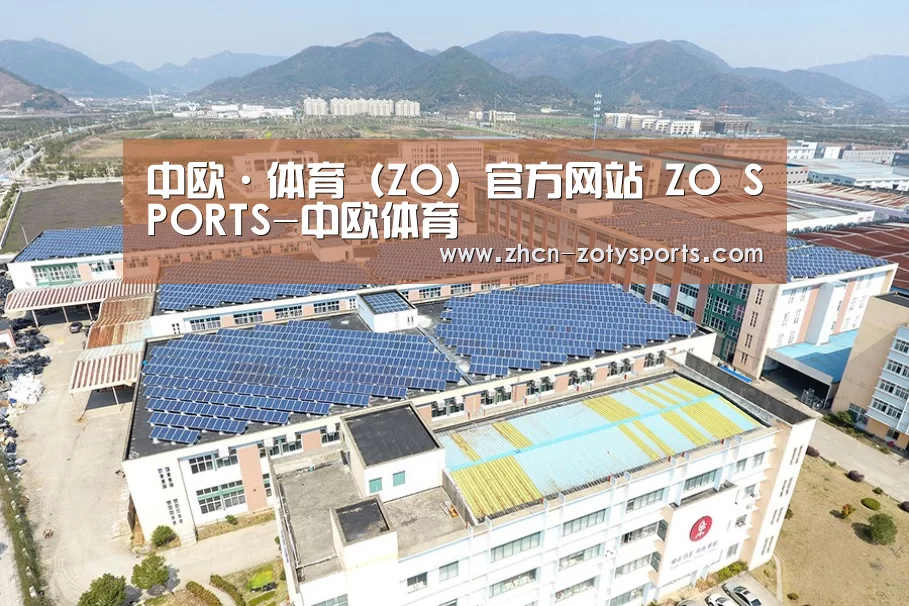 案例展示四