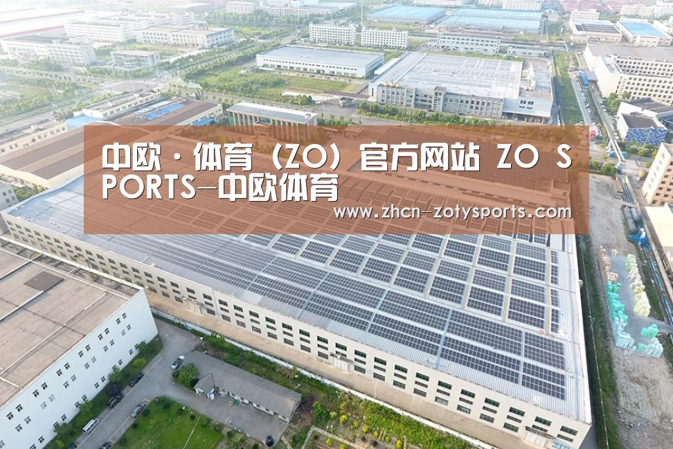 案例展示二