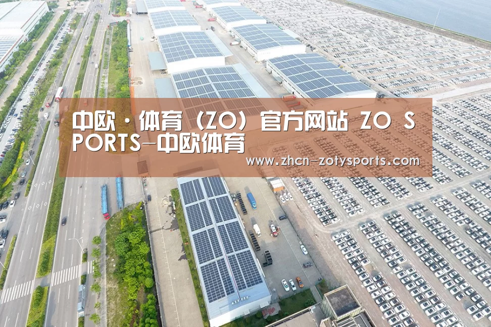 案例展示一