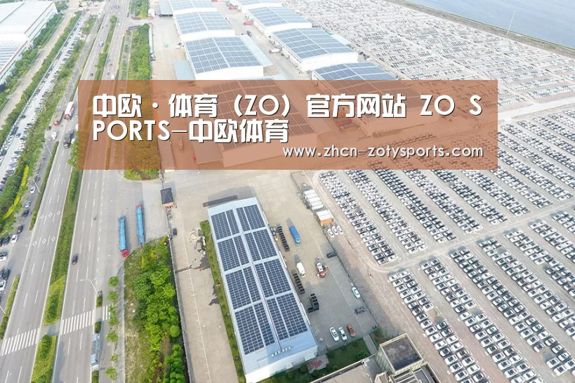 案例展示四