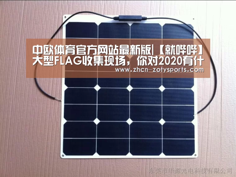 中欧体育官网登录入口