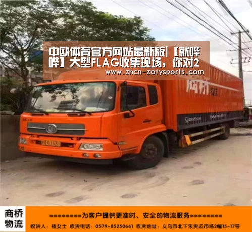 中欧体育官方网站最新版