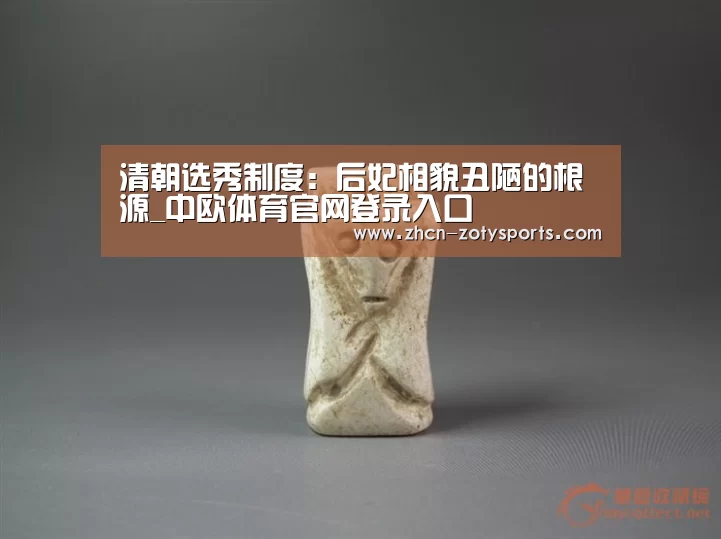中欧体育官网登录入口