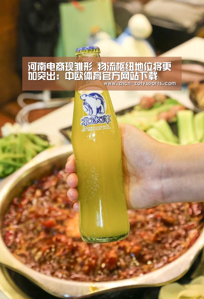 河南电商现雏形 物流枢纽地位将更加突出:中欧体育官方网站下载(图2) 中欧体育官网登录入口