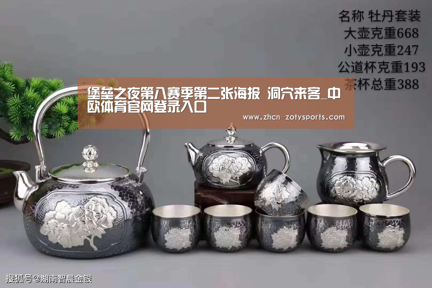 中欧体育app官方下载