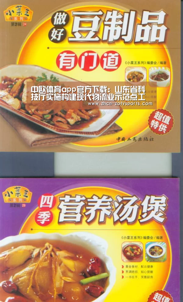 中欧体育app官方下载:山东省科技厅实施构建现代物流业示范点工作开始启动(图2) 中欧体育官方网站最新版