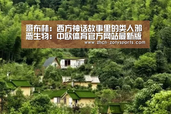 中欧体育官方网站最新版